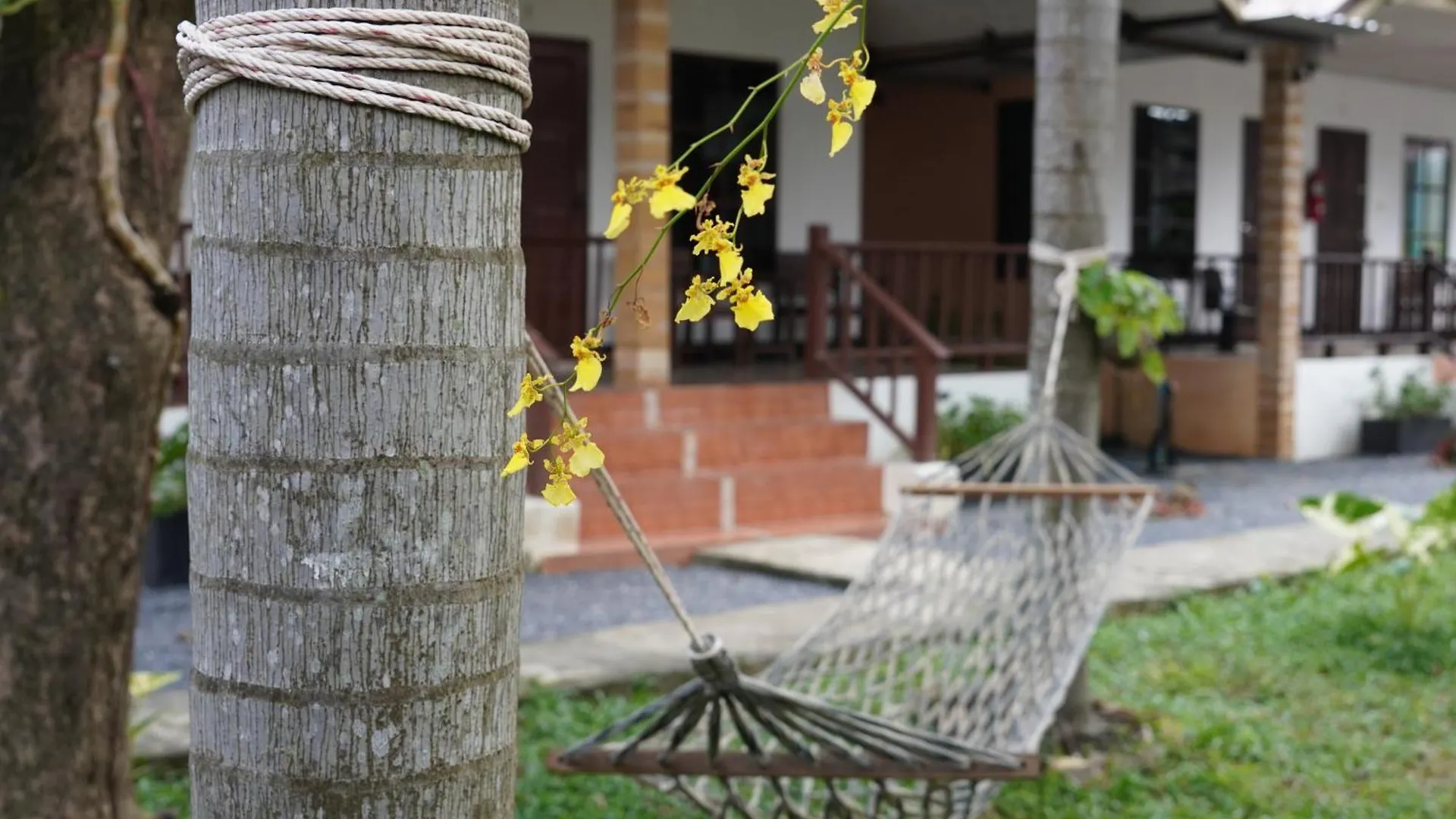 Naraya Resort Koh Lanta Guest house