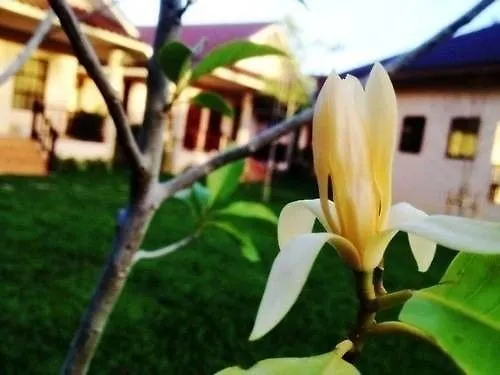 Guest house Naraya Resort Koh Lanta