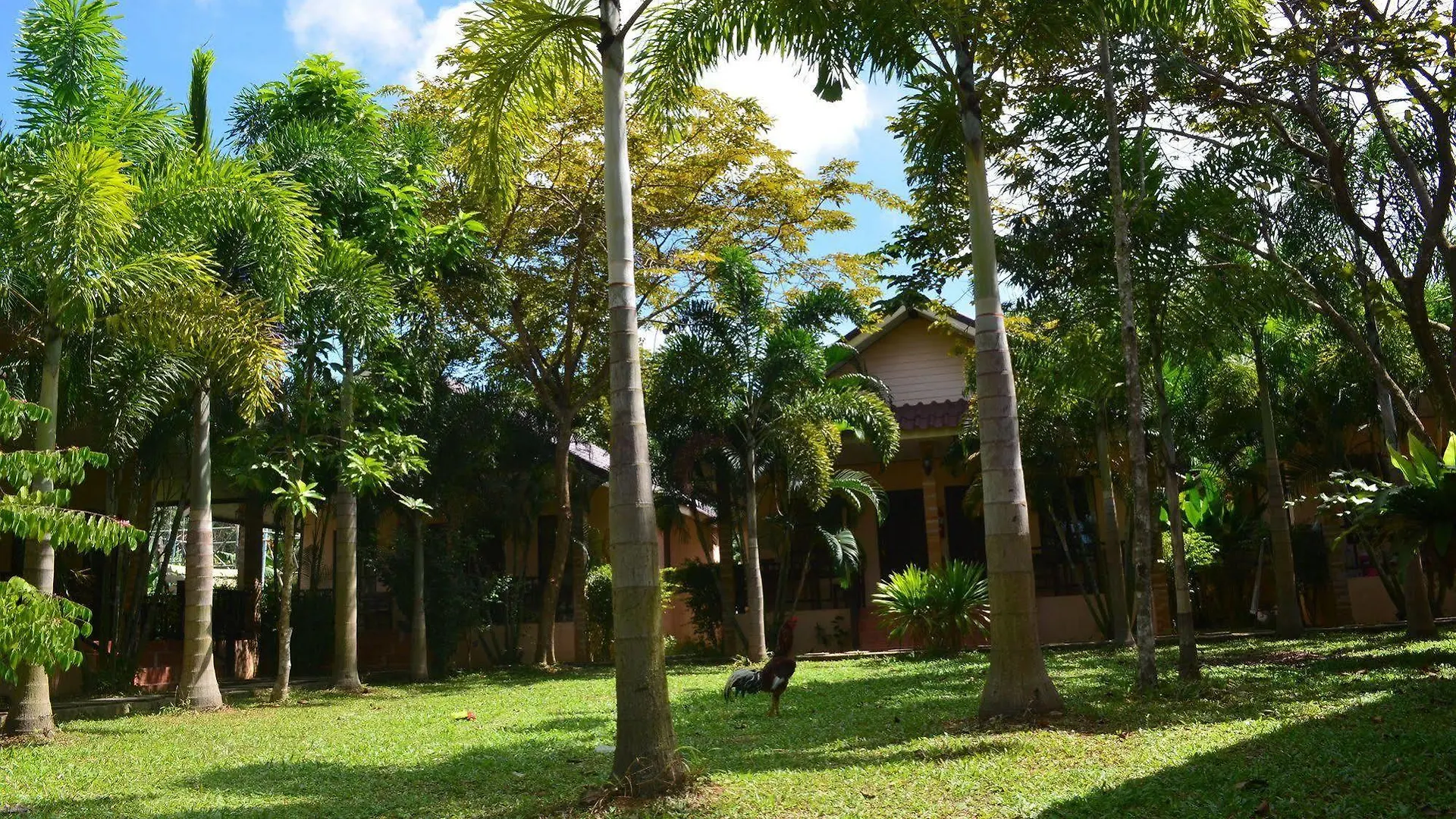 Naraya Resort Koh Lanta Guest house
