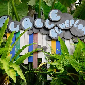 Resort Bubble Koh Tao