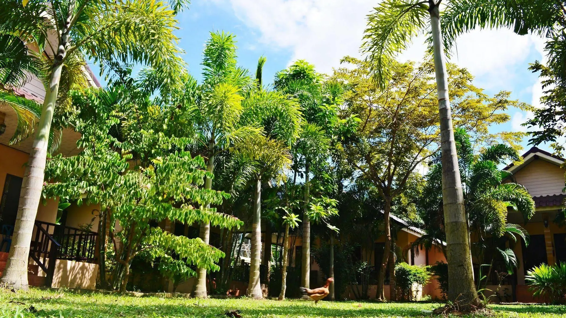** Maison d'hôtes Naraya Resort Ko Lanta Thaïlande